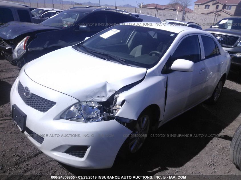 2010 Toyota Corolla Le VIN: 2T1BU4EE1AC423251 Lot: 24809955