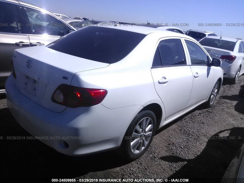 2010 Toyota Corolla Le VIN: 2T1BU4EE1AC423251 Lot: 24809955