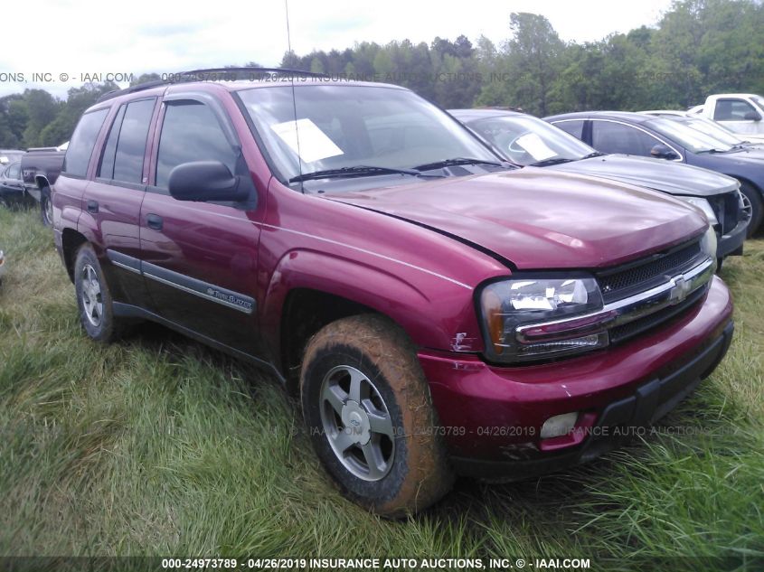 2002 Chevrolet Trailblazer VIN: 1GNDT13S822187465 Lot: 24973789