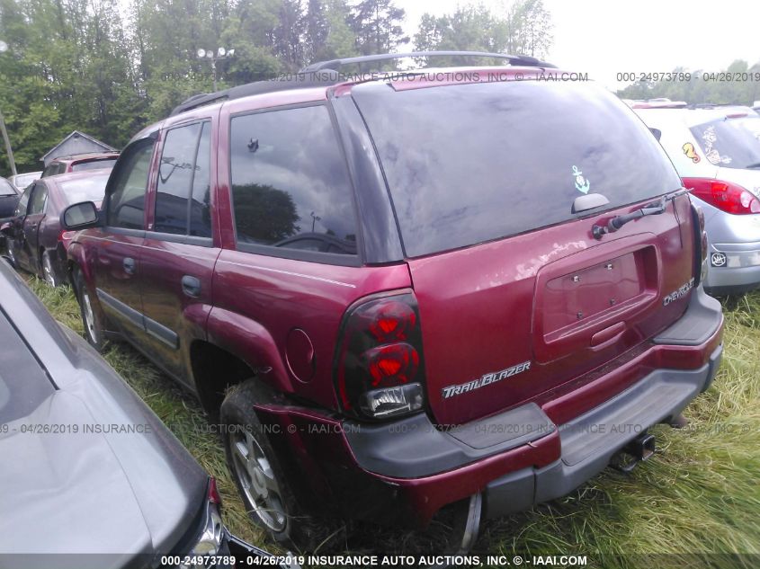 2002 Chevrolet Trailblazer VIN: 1GNDT13S822187465 Lot: 24973789