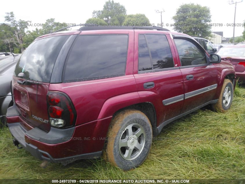 2002 Chevrolet Trailblazer VIN: 1GNDT13S822187465 Lot: 24973789