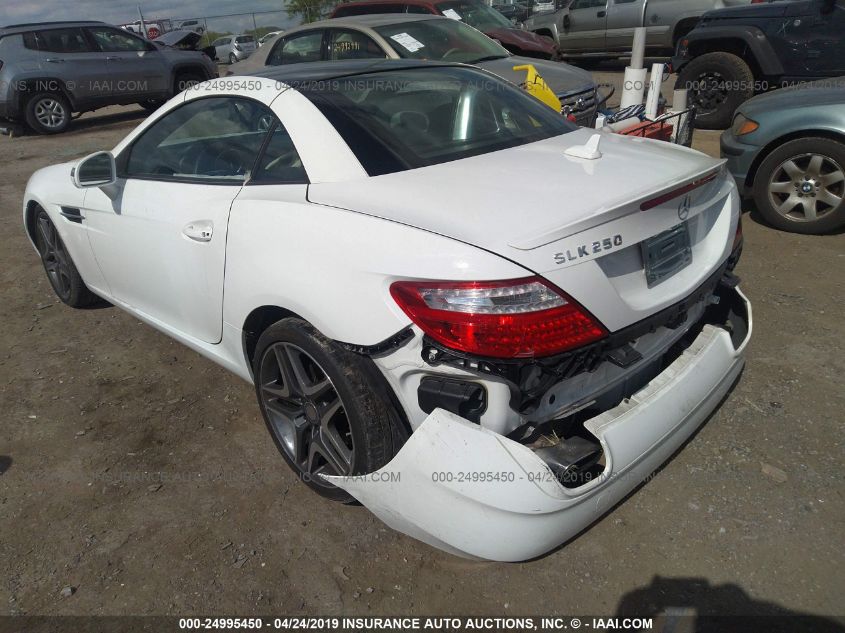 VIN WDDPK4HA2EF086192 2014 Mercedes-Benz SLK-Class,... no.3