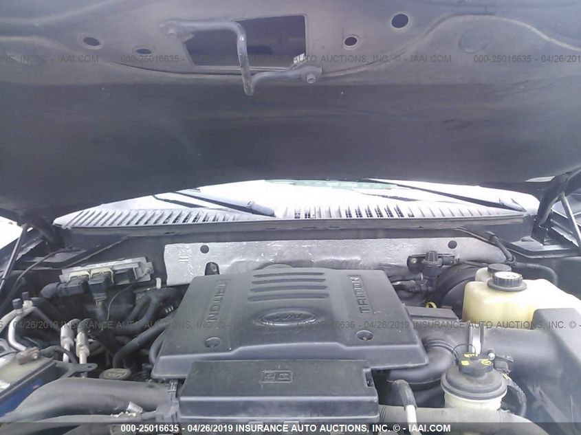 2007 Ford Expedition Eddie Bauer VIN: 1FMFU17537LA46156 Lot: 25016635