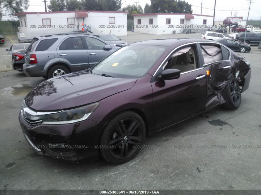 2016 Honda Accord Lx VIN: 1HGCR2F36GA101551 Lot: 25383641