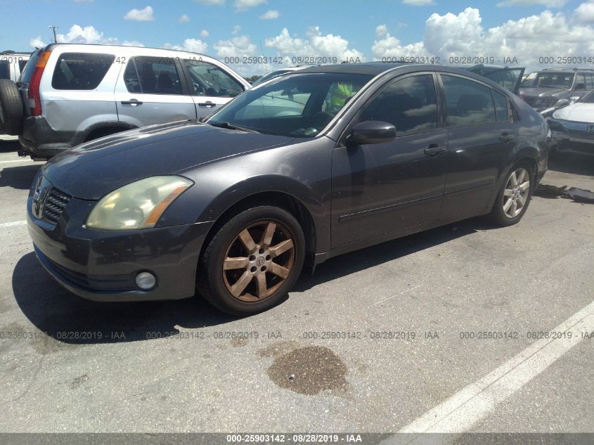 2004 Nissan Maxima 3.5 Sl VIN: 1N4BA41E64C893423 Lot: 25903142