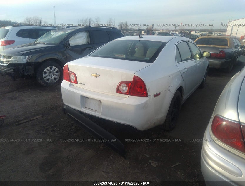 1G1ZB5E19BF214610