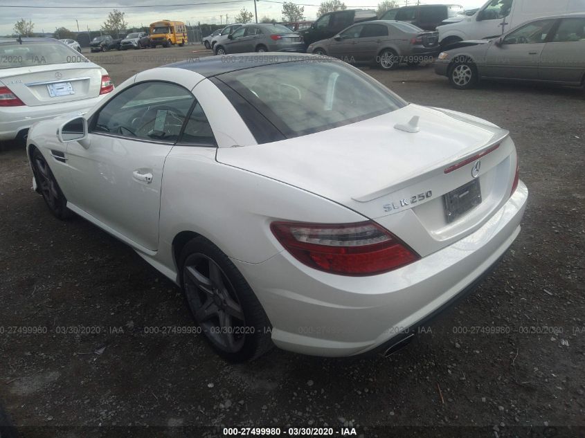 VIN WDDPK4HA3EF076593 2014 Mercedes-Benz SLK-Class,... no.3