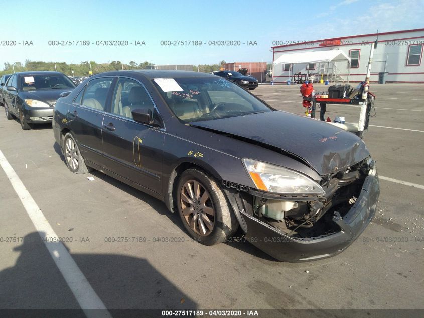 2007 Honda Accord 3.0 Ex VIN: 1HGCM66567A069031 Lot: 27517189