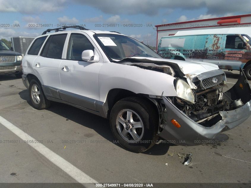 2004 Hyundai Santa Fe Gls VIN: KM8SC13D64U747035 Lot: 27549971