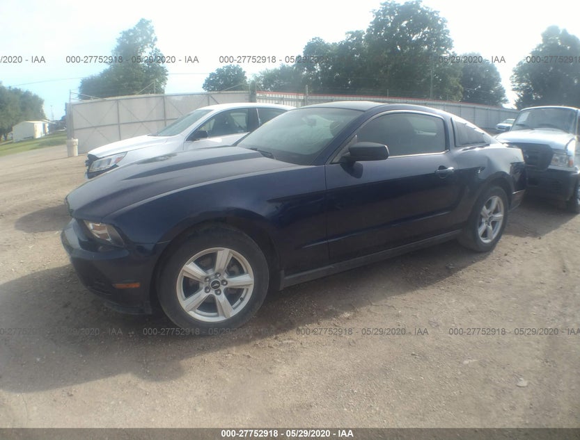 1ZVBP8AN2A5177163