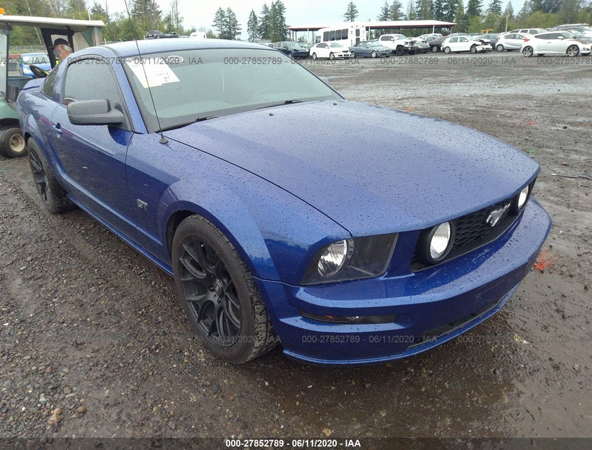 1ZVHT82H255200607