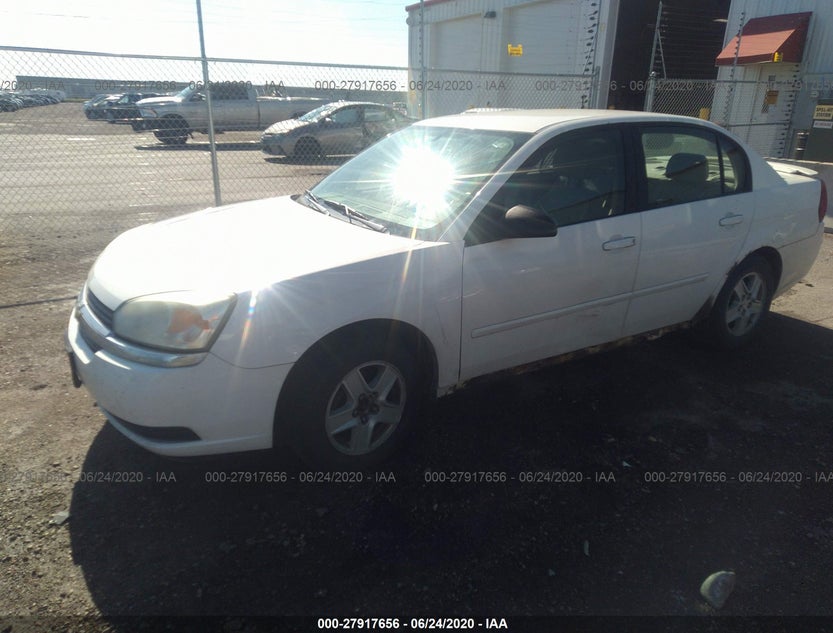 1G1ZT52855F281742