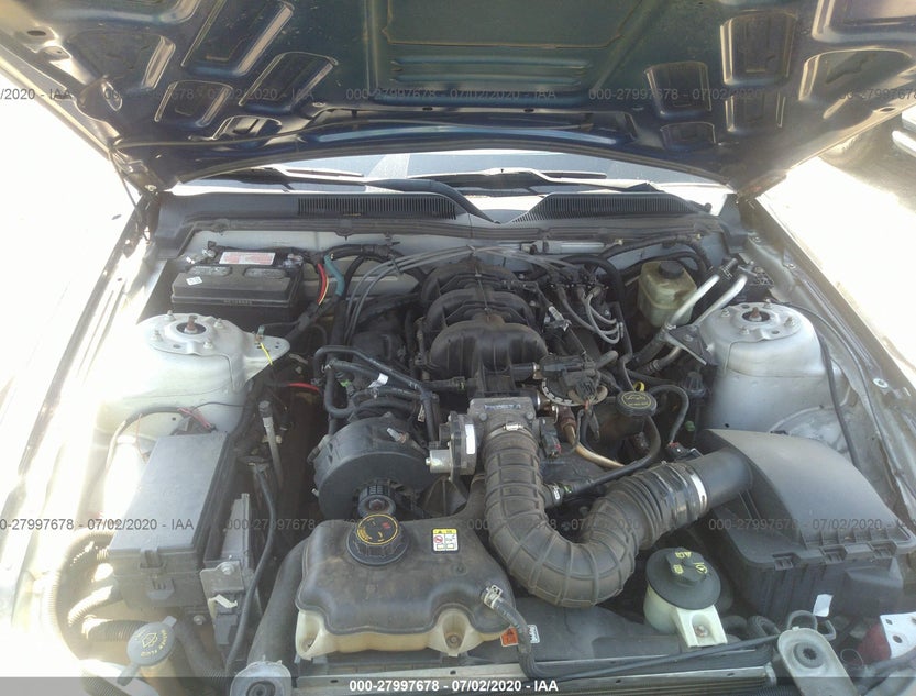 1ZVFT80N655145966