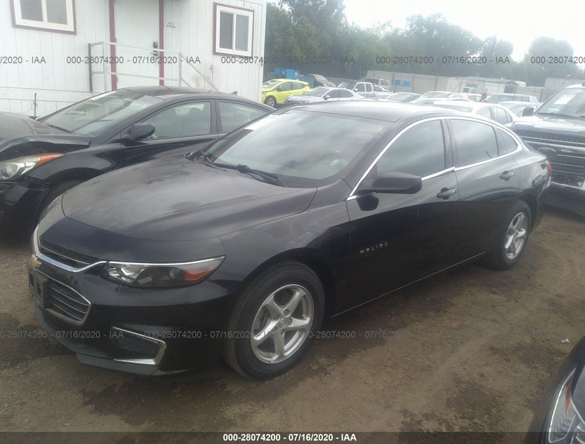 1G1ZB5ST6GF312541