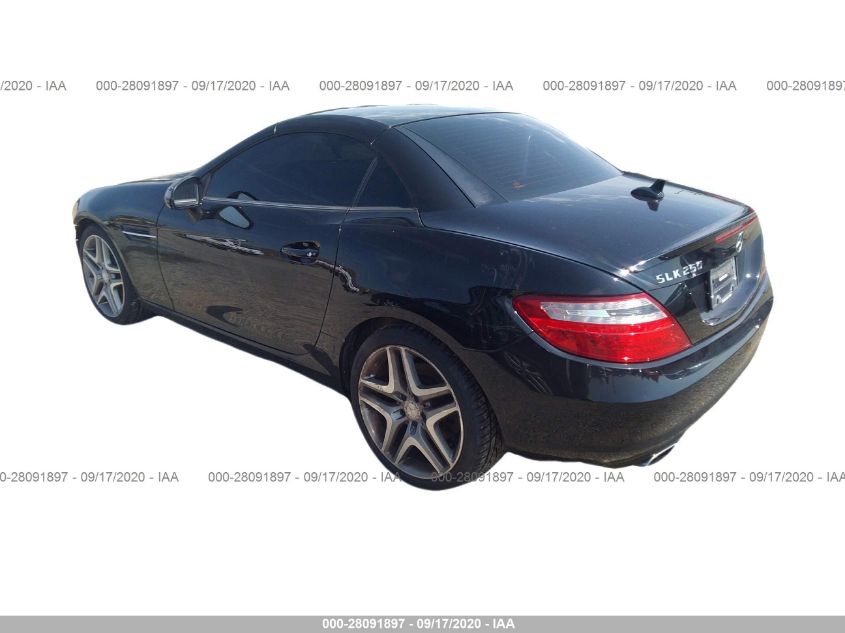 VIN WDDPK4HA3EF079901 2014 Mercedes-Benz SLK-Class,... no.3