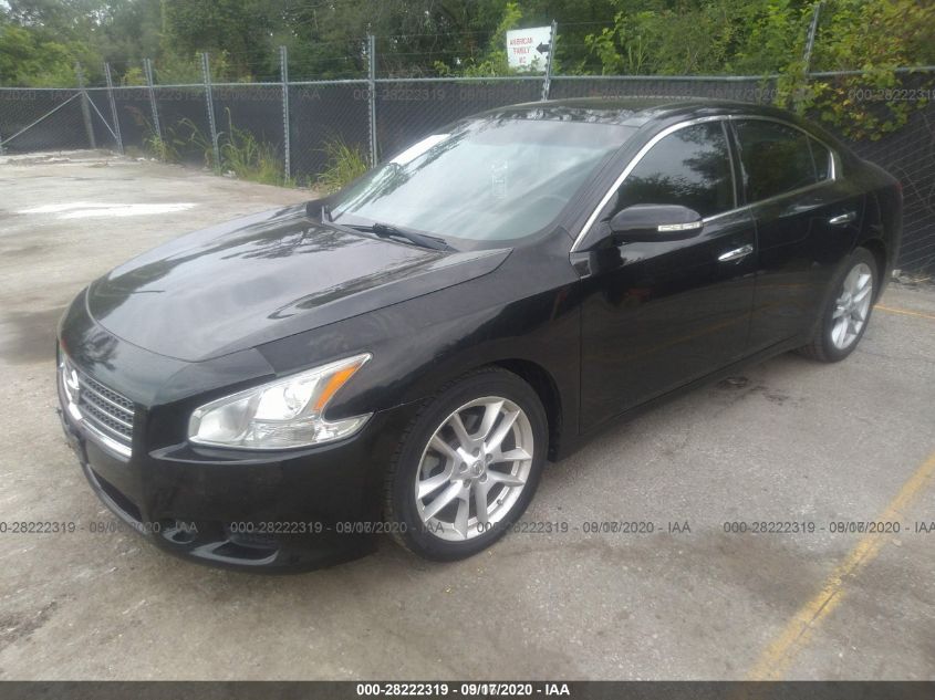 1N4AA5AP7BC847339 2011 Nissan Maxima 3.5 Sv