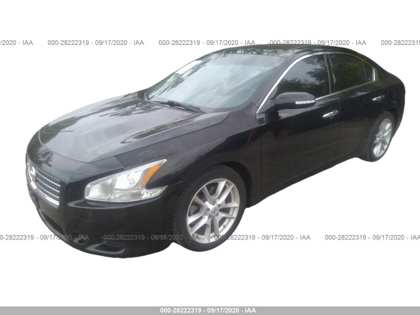 1N4AA5AP7BC847339 2011 Nissan Maxima 3.5 Sv