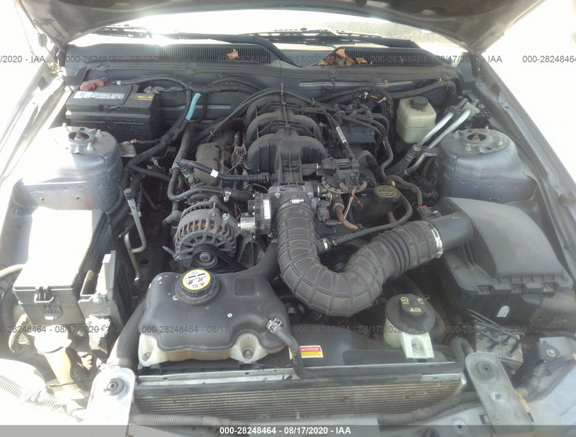 1ZVFT84N075205978