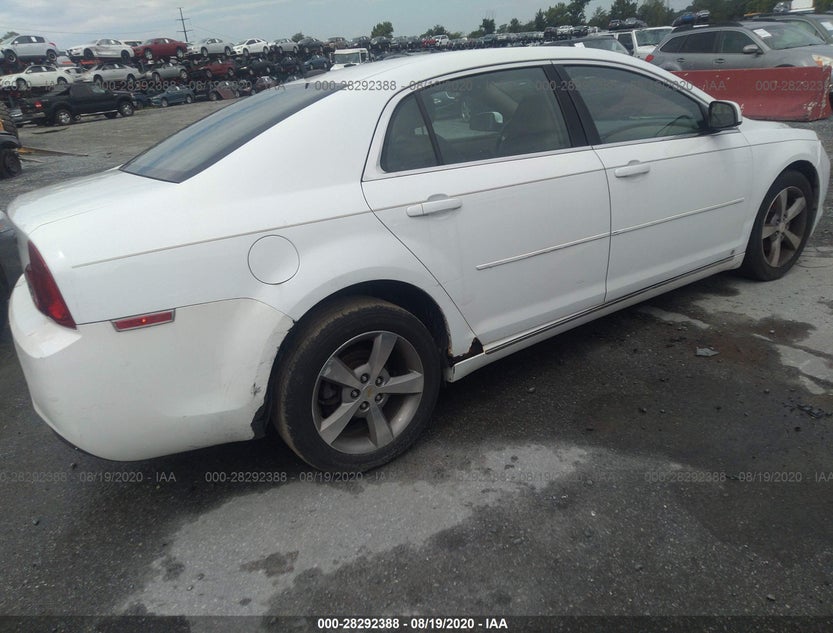 1G1ZJ57B19F255204