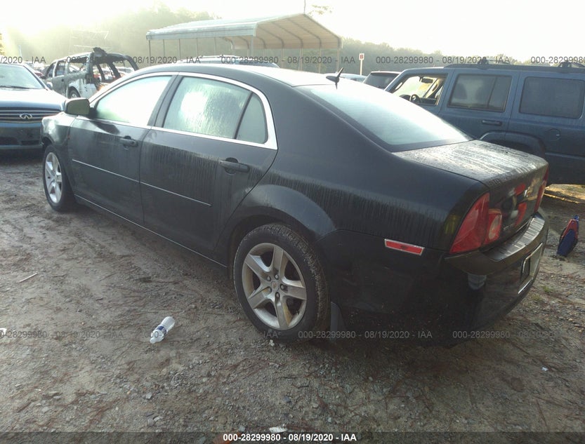 1G1ZB5E19BF256601