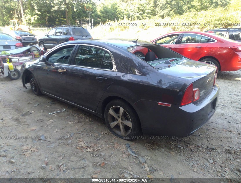 1G1ZC5E19BF261519