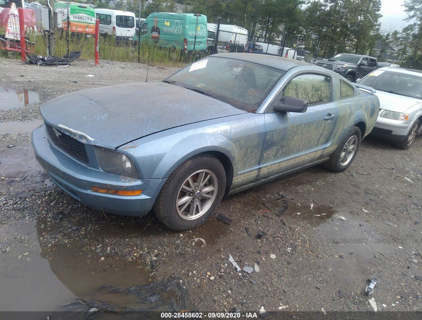 1ZVHT80N255251937