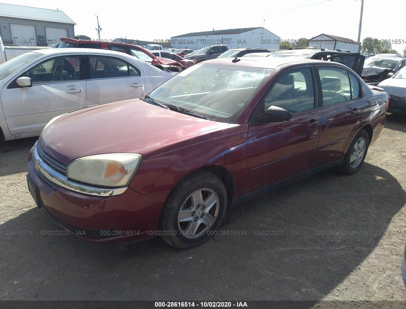 1G1ZT54805F289146