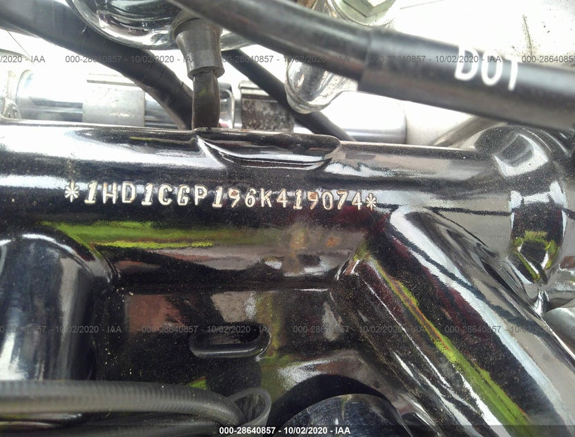 1HD1CGP196K419074