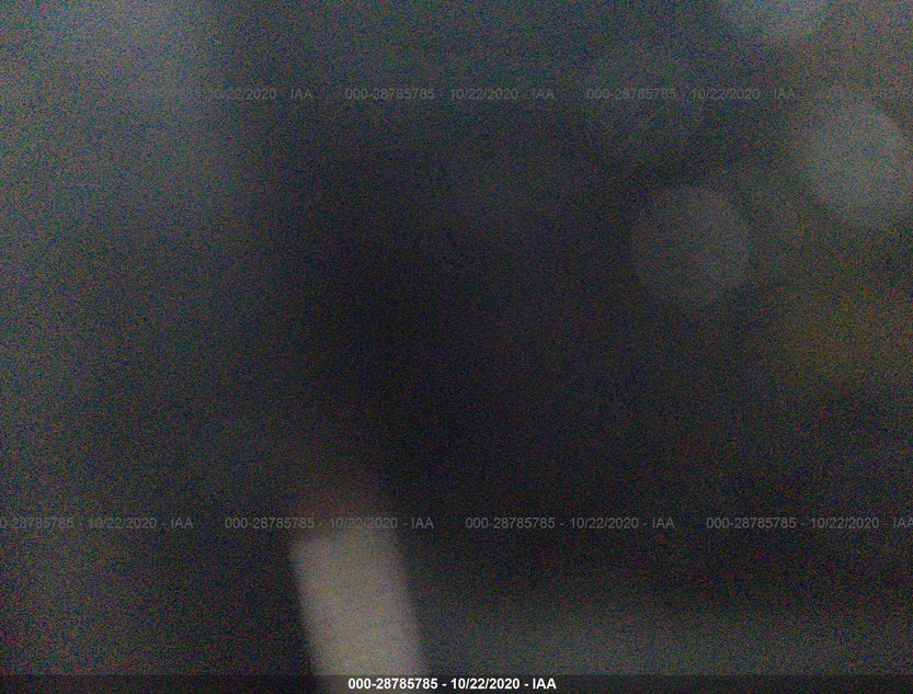 2HNYD28289H519096