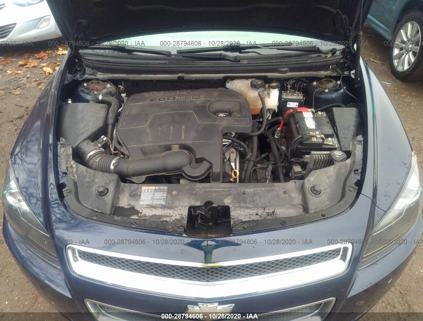 1G1ZB5E10BF264991