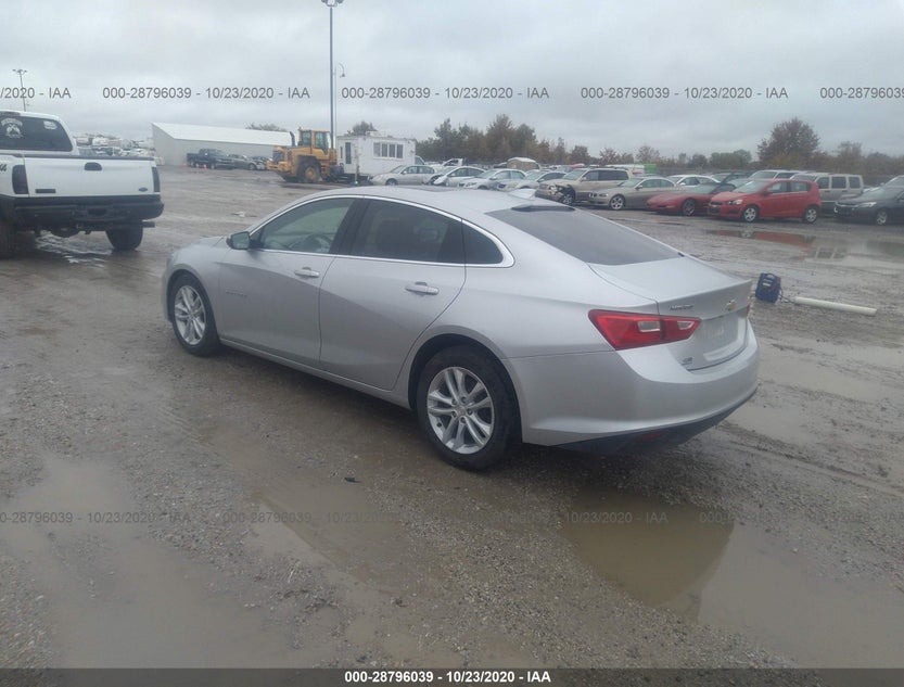 1G1ZD5ST8JF175801