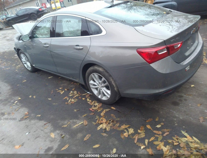 1G1ZD5ST5JF195679