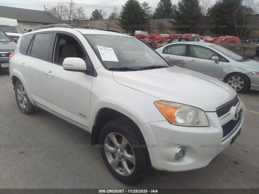 2010 Toyota Rav4 Limited V6 VIN: JTMDK4DV9A5089323 Lot: 29020387