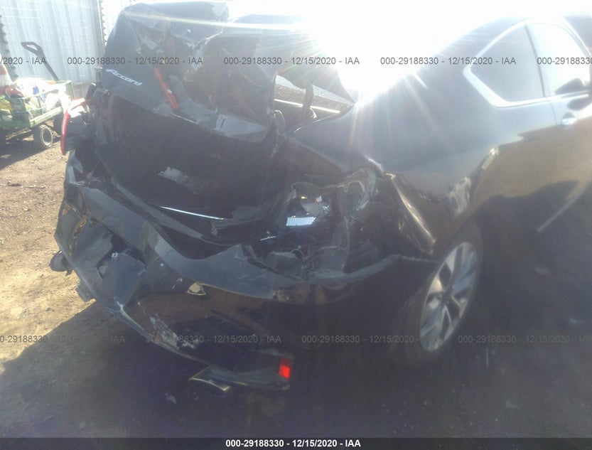 1HGCT1B31DA013813