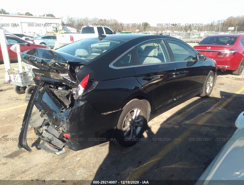 5NPE24AF9HH493816