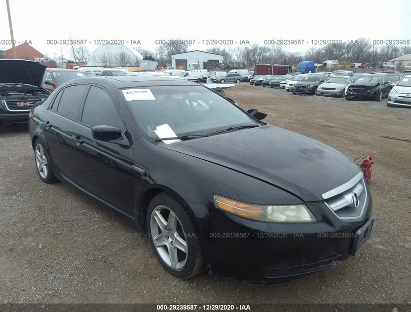 19UUA66246A065304