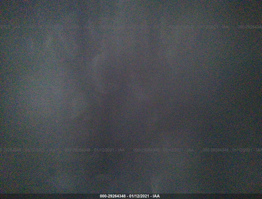 3C4FY58B75T595235