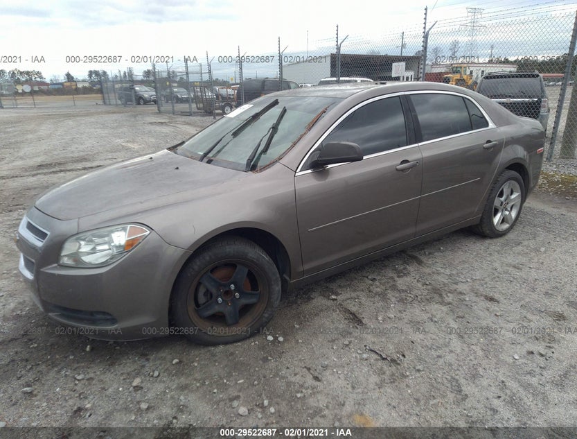 1G1ZB5E14BF395440
