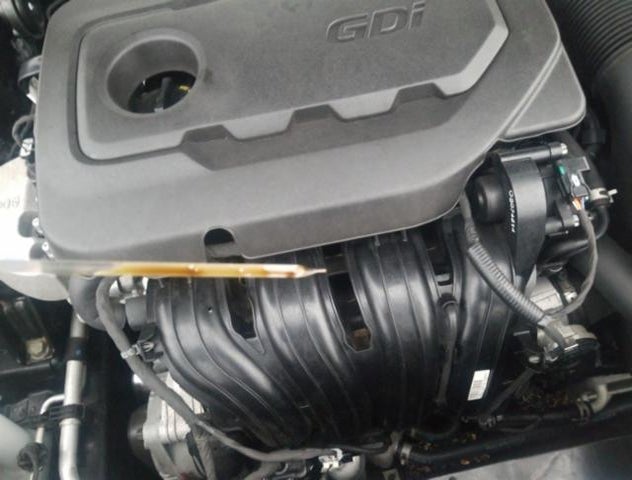 5XXGU4L34JG228051