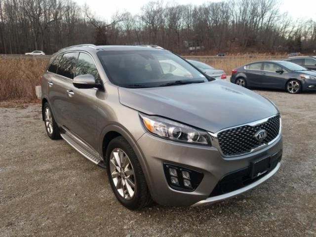 Vin kia sorento