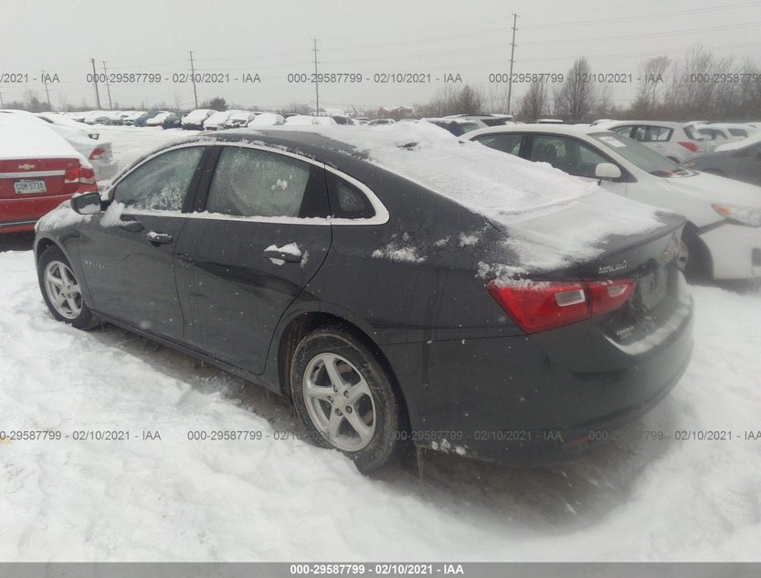 1G1ZB5ST4HF282697