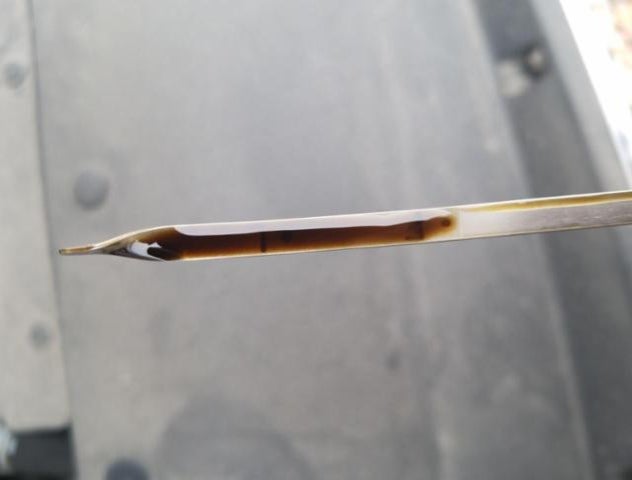 5XYPGDA59KG479981