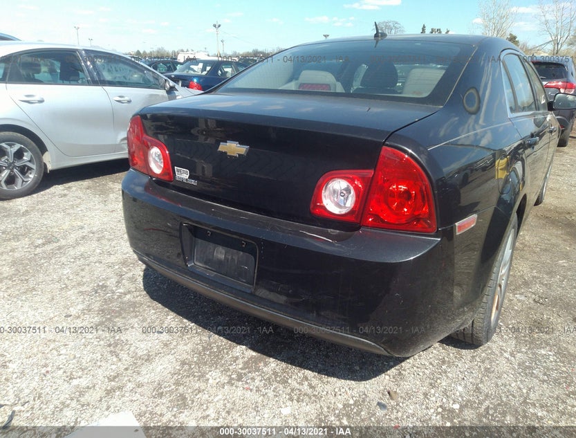 1G1ZB5E11BF296431