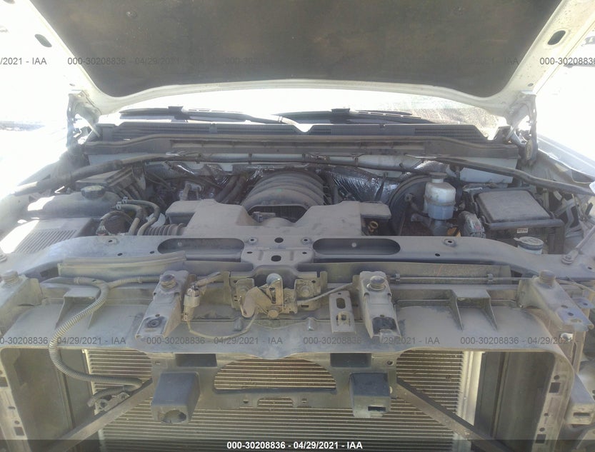 3GTU2VEC3EG559959