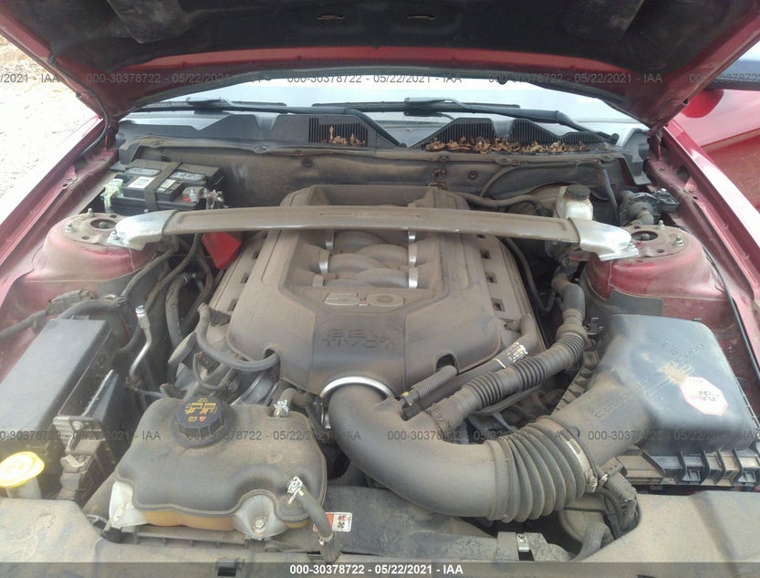 1ZVBP8CF4E5318780