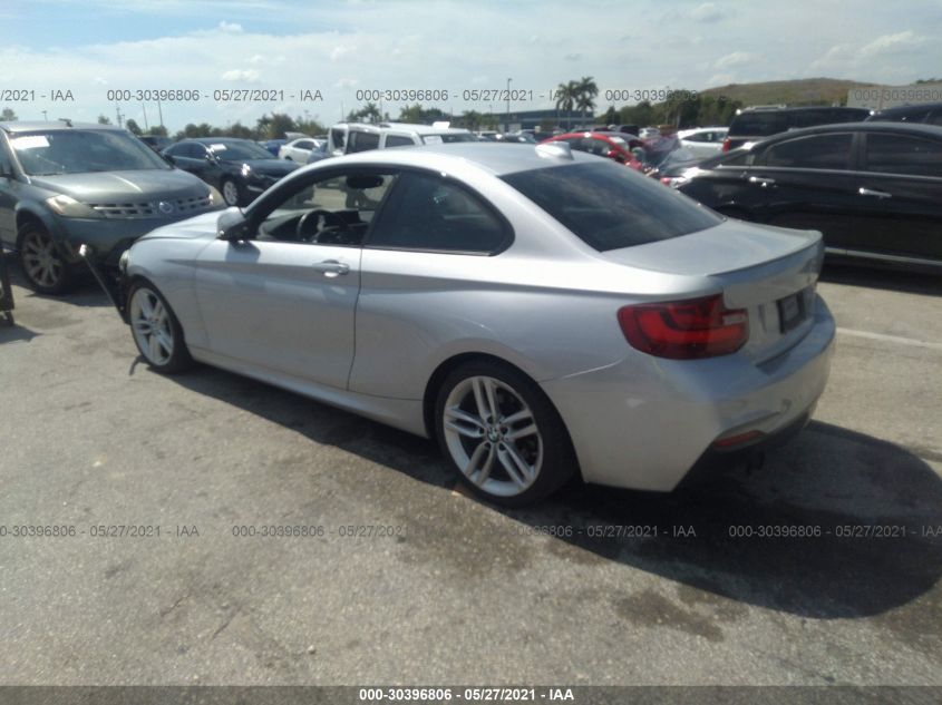 2014 BMW 228I VIN: WBA1F5C55EV246153 Lot: 30396806