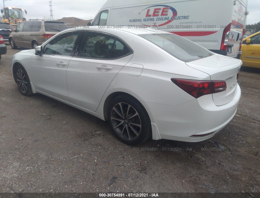 19UUB3F50FA003565