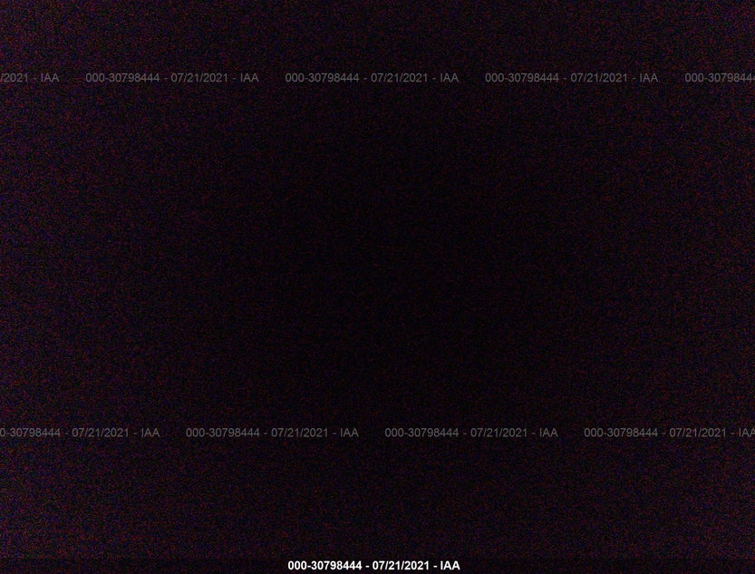 3VWJP7AT0EM608281
