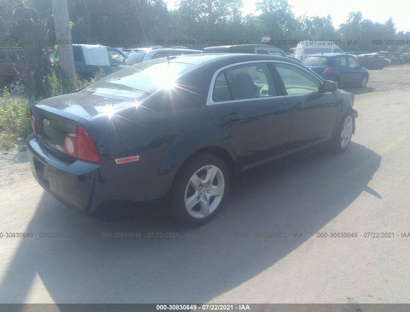 1G1ZB5E12BF229255