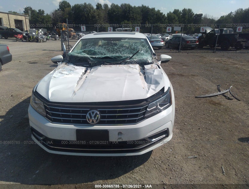 1VWLA7A31KC007503